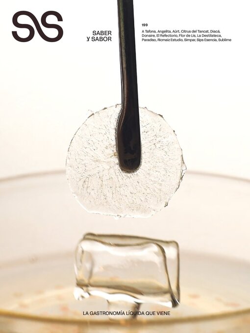 Cover image for Saber y Sabor 